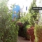 Appartement Ayarab, Agadir