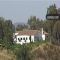 Herdade em Corte de Sines, M�rtola