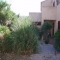  Corse