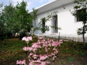  Apartments | House with  2 Bedrooms