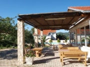  Apartments |  3 Bedrooms and Pets accepted