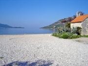 Photo Apartments |  3 Bedrooms and Pets accepted