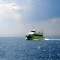 Take a trip on a glass bottom boat