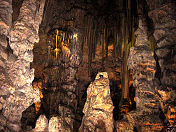 The Main Gallery