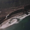 San Felipe
