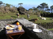 Photo Hotels | Adegas Do Pico