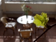 Image Hotels | Villa Kokolo