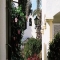 Rincon Andaluz, 