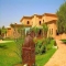 Hotel Las Palmeras, 