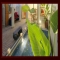 Hotel Riad Chalymar, 