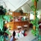 Hotels