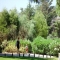 Hotel Quinta Da Balaia,
