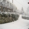 Albergaria Berne, 