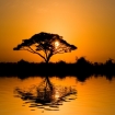 Afrique Louer un bateau ou voilier charter � Afrique
