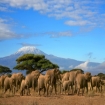 Afrique Louer un bateau ou voilier charter � Afrique