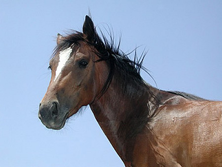 Image sport | Andalusia | Rural Tourism