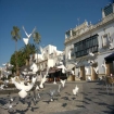 图像 | Ayamonte