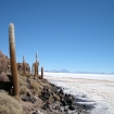 Image south america | Bolivia | South America