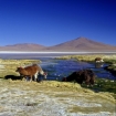 Photo bolivia | Bolivia