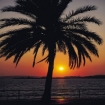 Photo location | Cala Millor