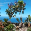 Photo rural home | Canary Islands | Spain