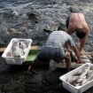 Photo | Iles Canaries | Tourisme Rural