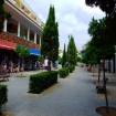 accommodation | Canyamel | Majorca