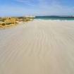 Corse Corse