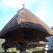 schronisko | Galicia
