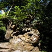 pilgrim | Galicia | Rural Tourism