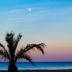 Image valencia | Gandia | Costa Blanca