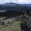guatemala | Guatemala