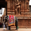 inde | Inde