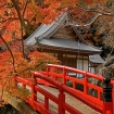 Photo japon | Japon | Asie