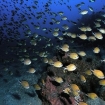 club de plongée sous-marine | Majorque