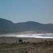 Image plage | Maroc | Afrique