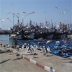 essaouira | Marrakech | Maroc