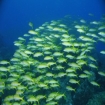 noumea | Nouméa
