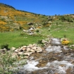 Image | Pyrénées