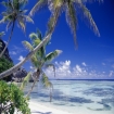 Photo | Seychelles | Afrique