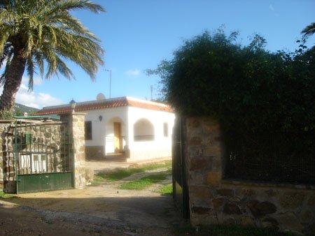  wille na sprzeda� | Tarifa