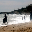 Photo horses | Vilamoura | Portugal