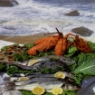 Image cuisine | Vilamoura | Portugal