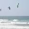 Ecole de Kitesurf Hotstick, Lanzarote