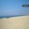 Com Jardim perto da Praia