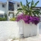 proche de la plage
