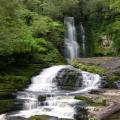 McLean Falls						