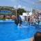 Se divertir � Marineland