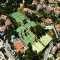 Academia de T�nis Vale do Lobo