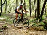 alquiler-bicicleta-1-2-gallery						